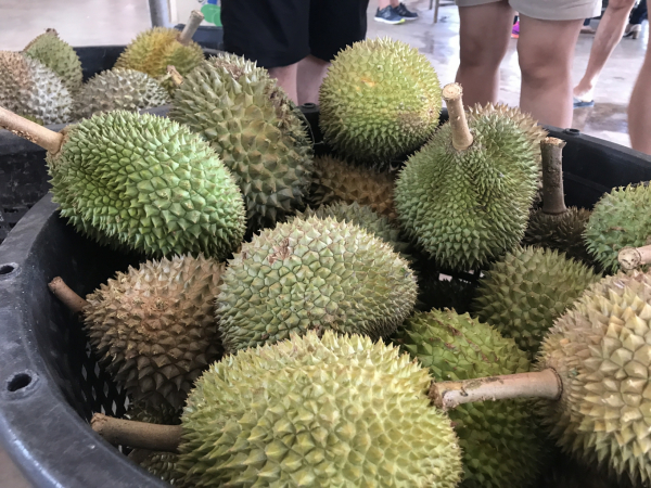 Durians